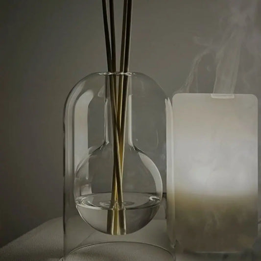 Transparent Glass Diffuser Bottle with Reed Sticks - The Dreamy Home